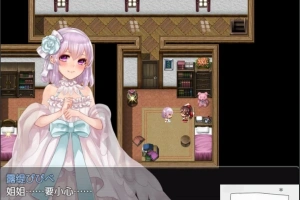 【PC/2D/精品RPG/汉化/全CV】阿尔迪亚塔 Tower of Ardia 精翻汉化版+存档【1.2G】-IS【56】