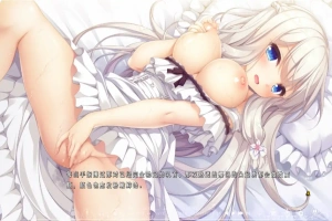 [ADV/汉化] 候鸟的梦 Pieces 渡り鳥のソムニウム 汉化版电脑 [4.4G]-IS【56】