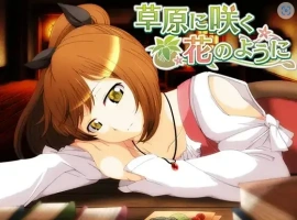 【日系RPG/AI汉化】就像草地上盛开的花朵1.0【PC+安卓/692M】-IS【56】