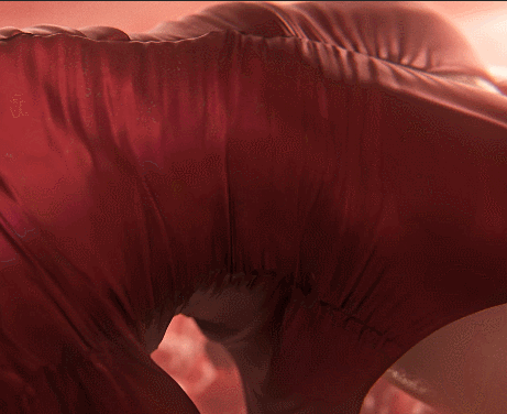 【神級3D/全動态】Nagoonimation：艾達王-觸手巢穴 4K步兵版【動畫/新作/1.6G】-IS【56】